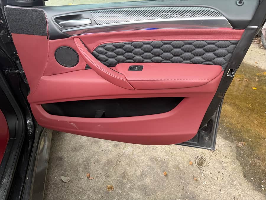 BMW X6 2009 immagine di auto #10