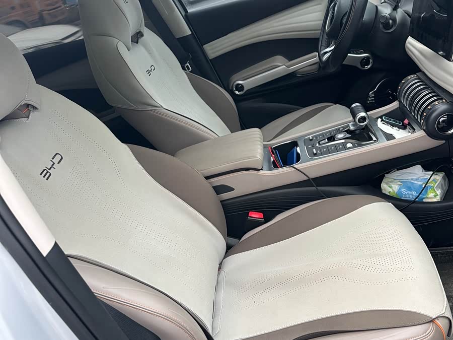 BYD Yuan Plus 2024 car image #10