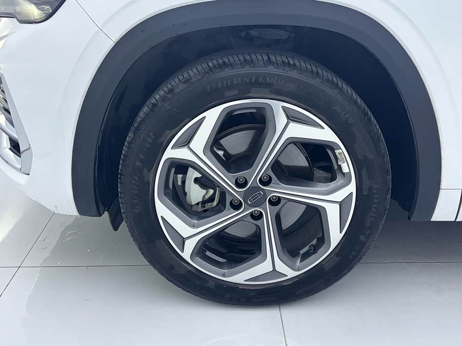 GEELY Monjaro 2025 car image #10