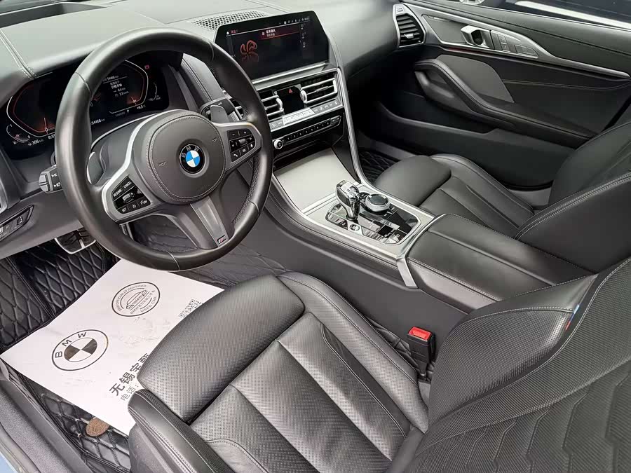 BMW 8 Series 2021 car image #10