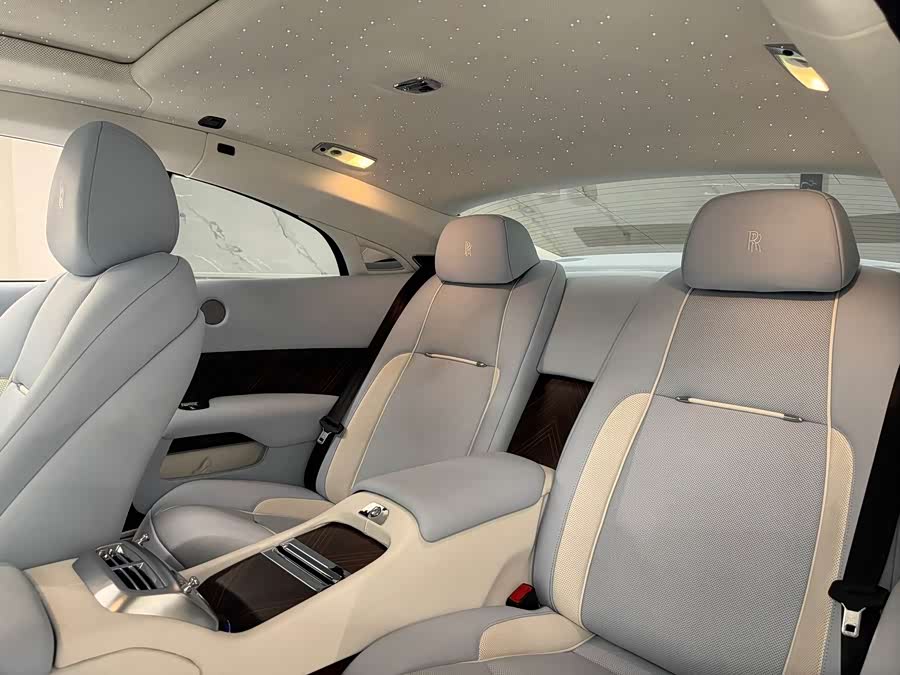 Denza Wraith 2014 car image #10
