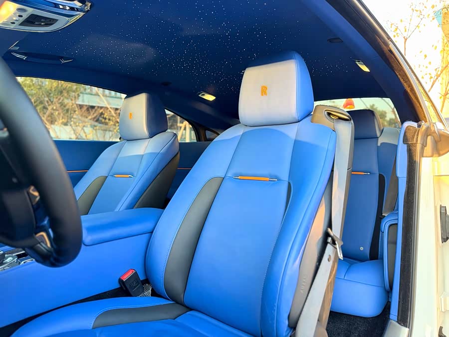 Denza Wraith 2017 car image #10