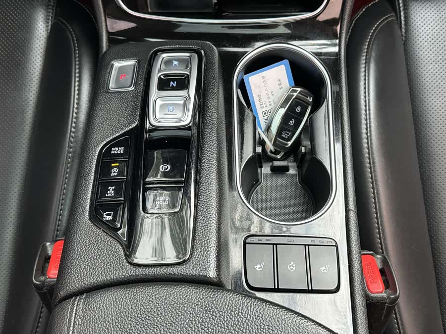 Hyundai Santa Fe 2020 car image #10