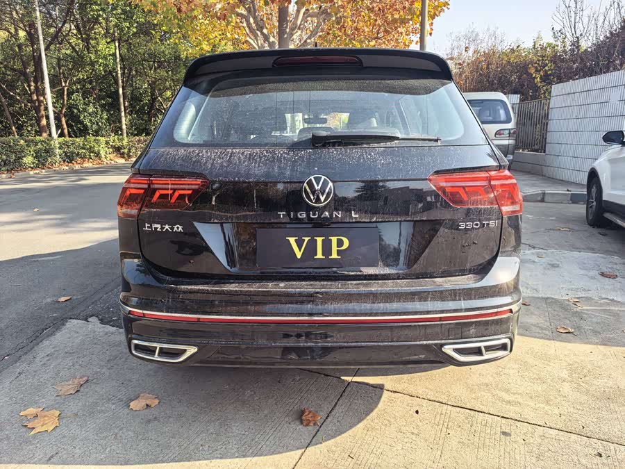 Volkswagen Tiguan L 2024 car image #10