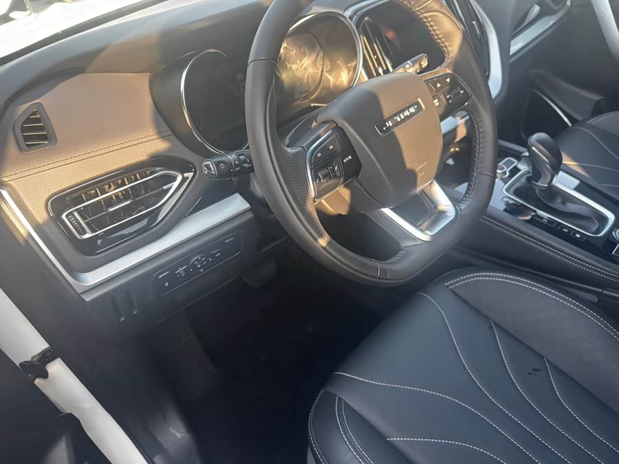 X70M 2019 car image #10