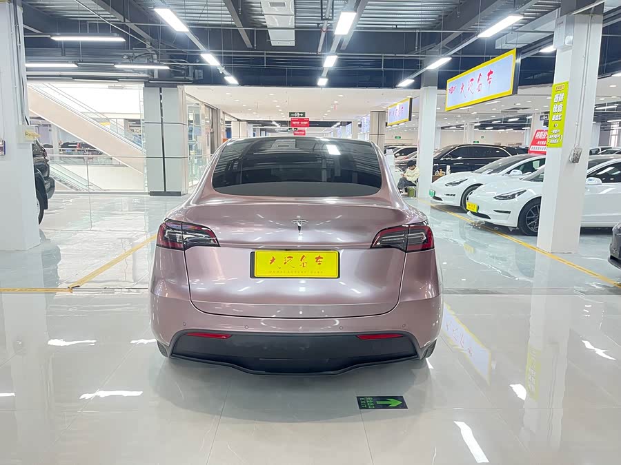 Tesla Model Y 2021 car image #10