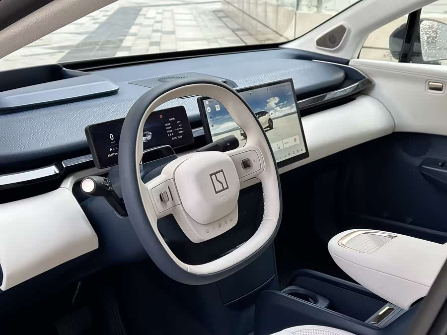 极氪 极氪X 2024 汽车图片 #10