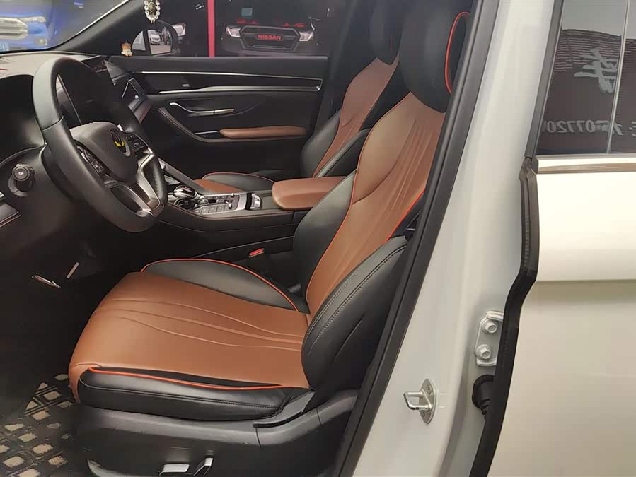 BYD Song Plus 2020 car image #10