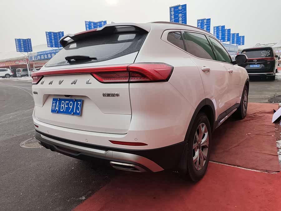 Haval H6 2022 car image #10
