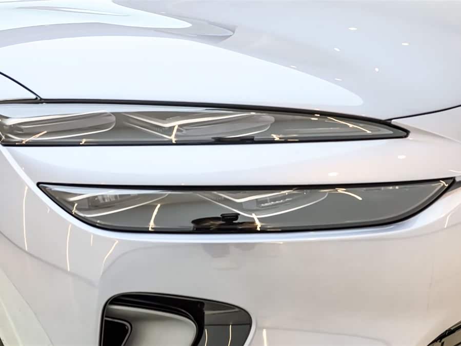 BYD Sea Lion 06 New Energy 2025 car image #10