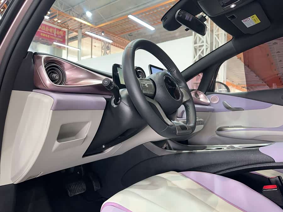BYD Dolphin 2022 #10 BYD Dolphin 2022 immagine di auto #10
