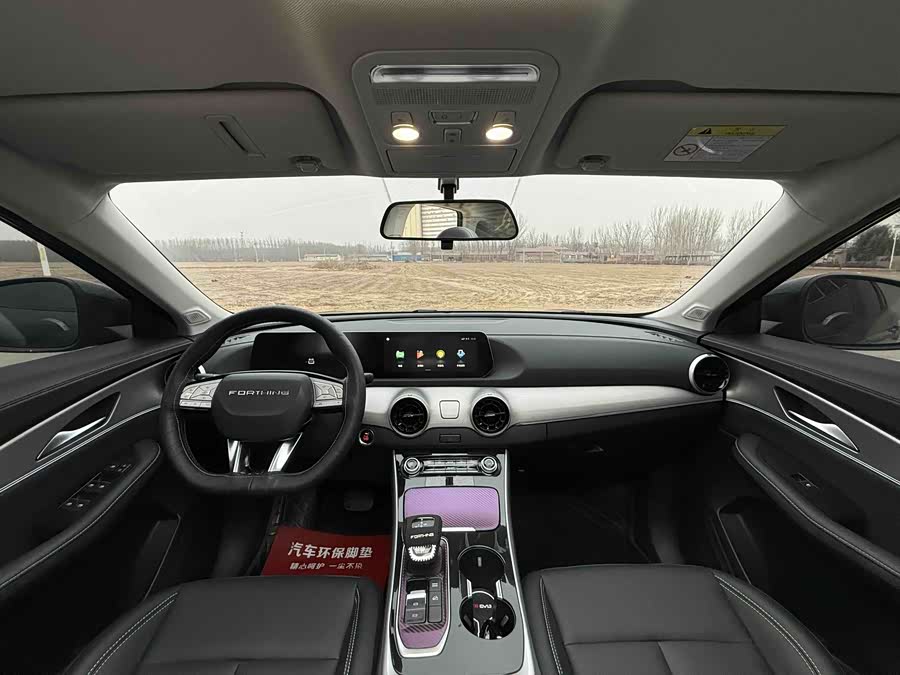 Forthing T5 EVO 2023 immagine di auto #10