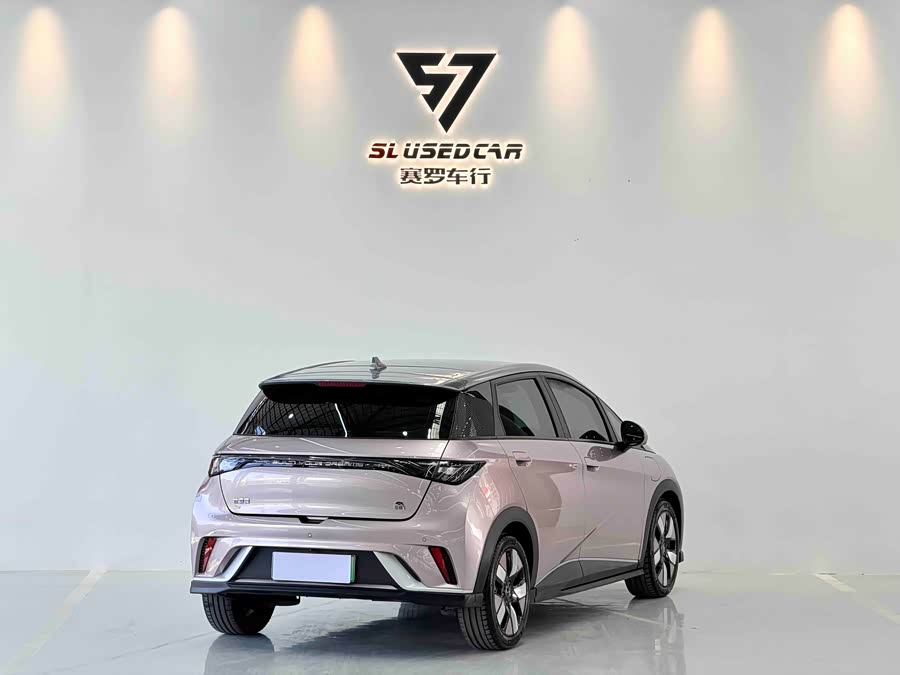 BYD Dolphin 2022 #10 BYD Dolphin 2022 car image #10