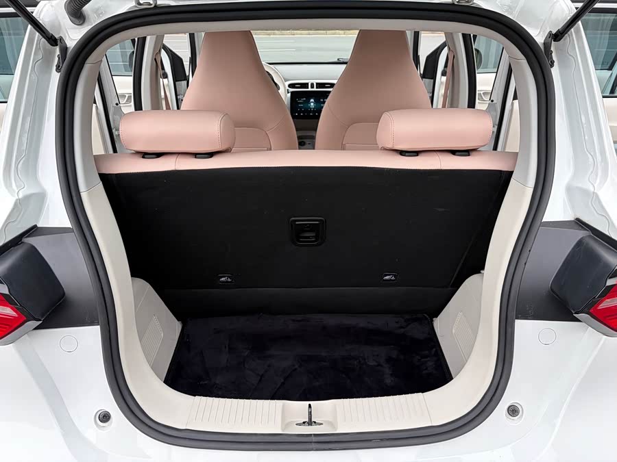 零跑汽车 零跑T03 2024 汽车图片 #10