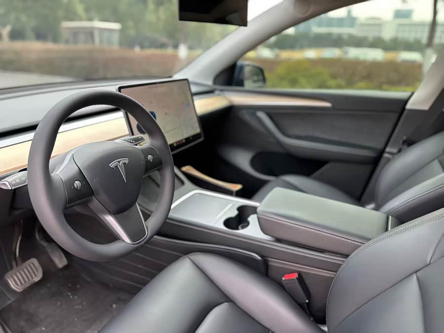 Tesla Model Y 2021 car image #10