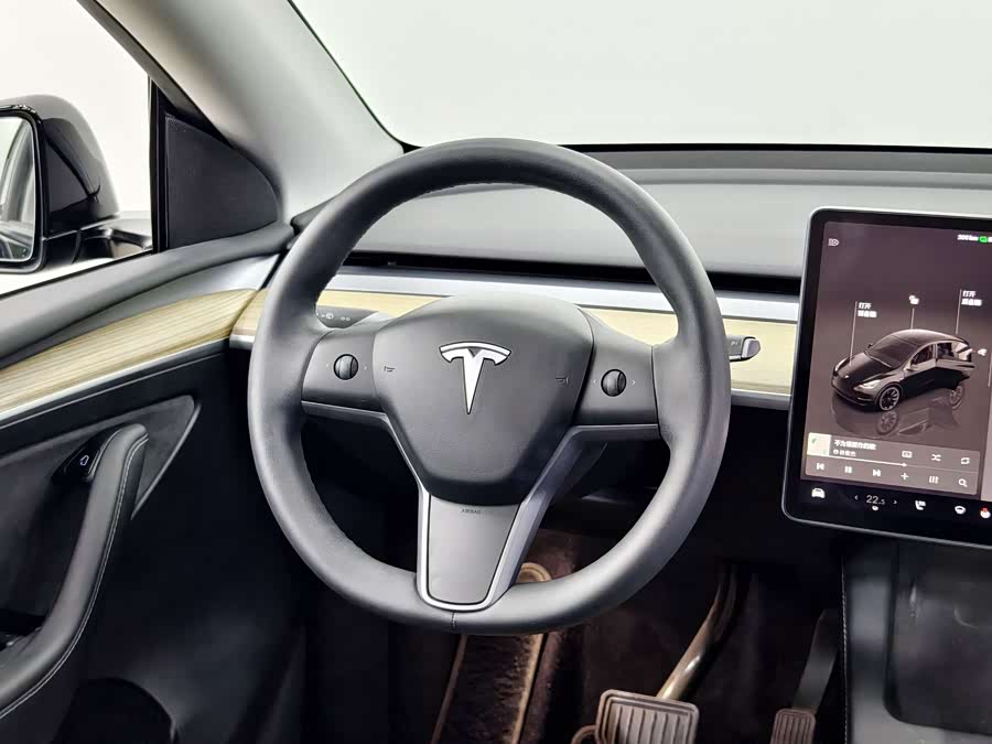 Tesla Model Y 2023 car image #10