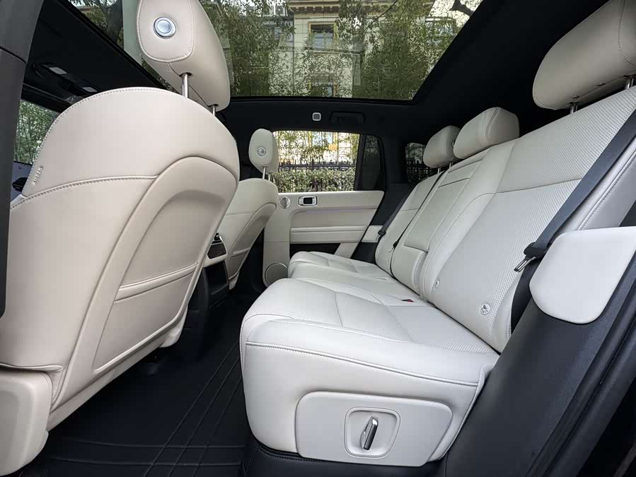 Li L6 2024 imagen de coche #10