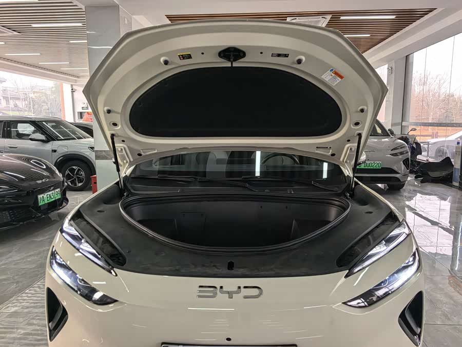 BYD Sea Lion 06 New Energy 2025 car image #10