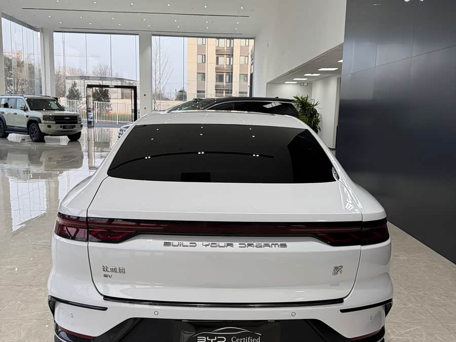 BYD Han 2023 car image #10