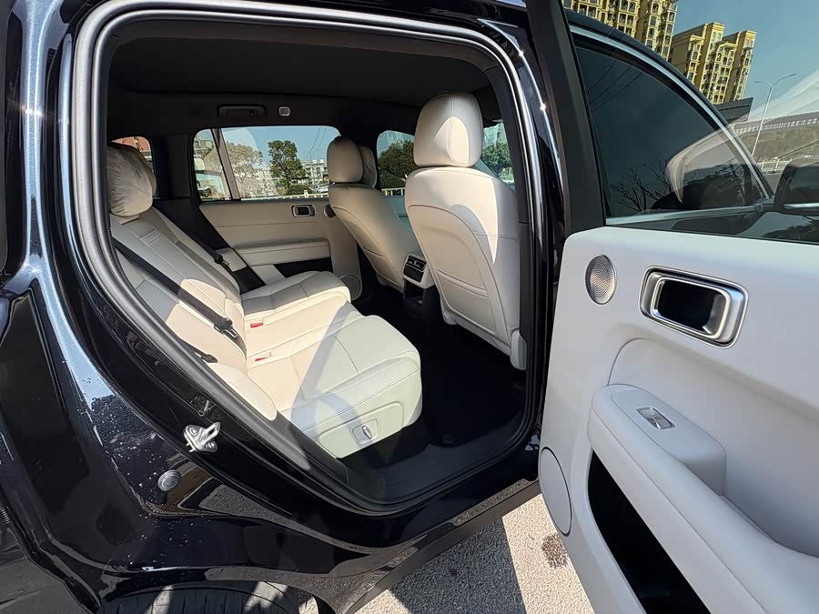 Li L6 2024 image de voiture #10