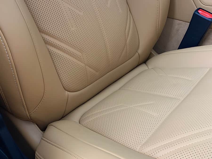 极氪 极氪9X 汽车图片 #10