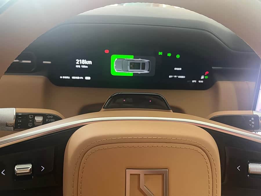 Zeekr 9X car image #10