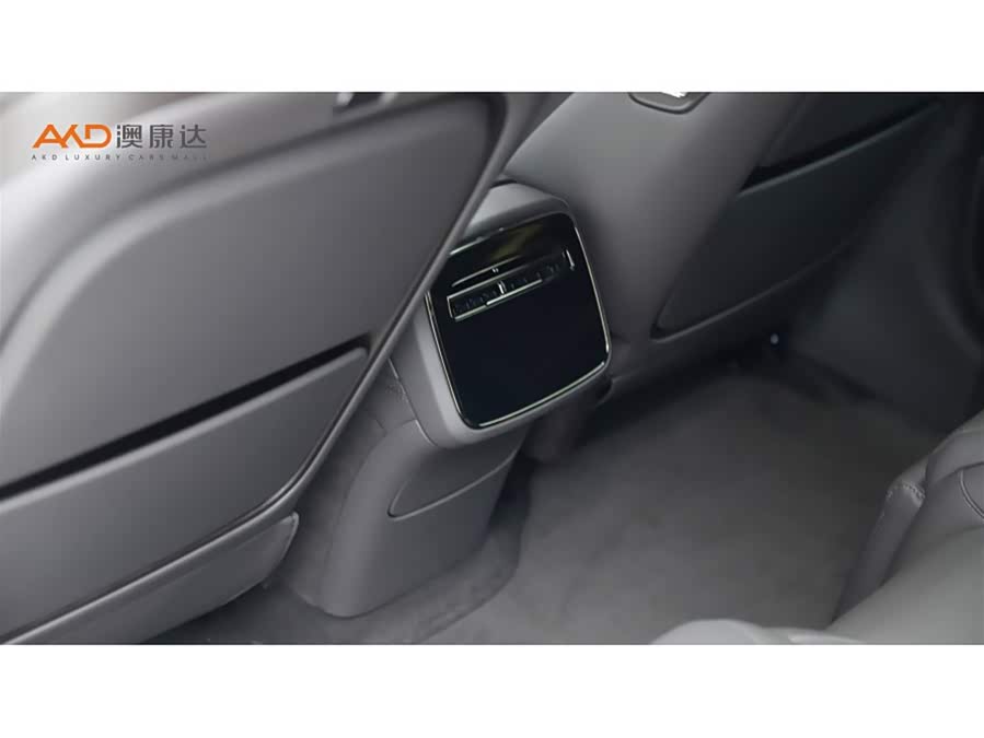 Denza Z9 2024 car image #10