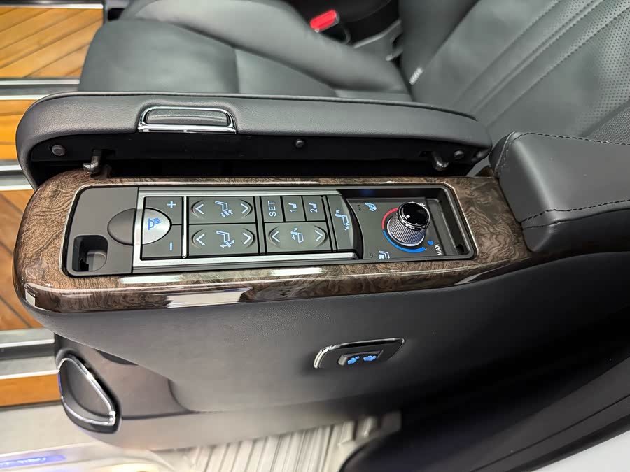 Toyota Alphard 2022 car image #10