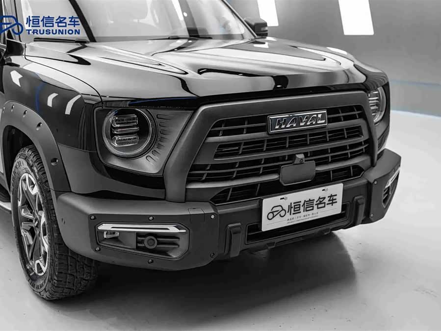Haval X Dog / Dargo 2023 immagine di auto #10