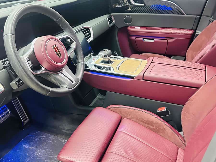 HongQi E-HS9 2023 image de voiture #10