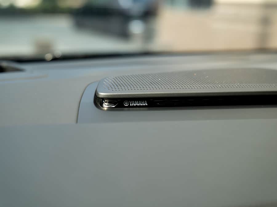 Zeekr 009 2024 car image #10