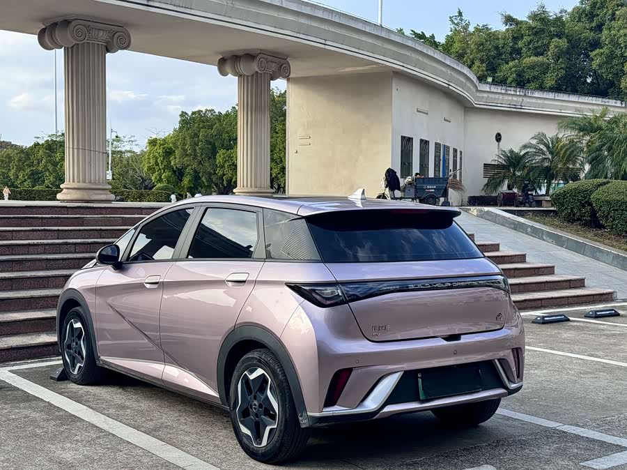 BYD Dolphin 2022 immagine di auto #10