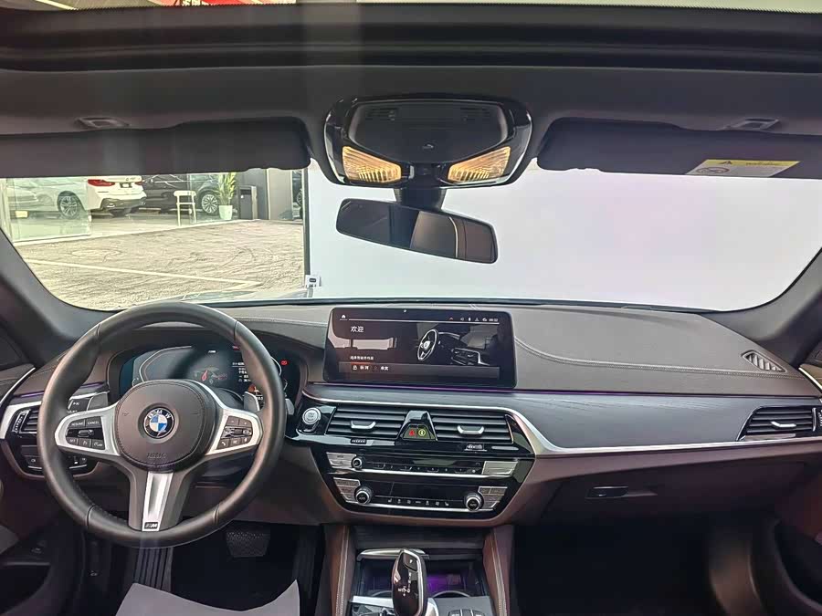 BMW 5 Series 2022 car image #10