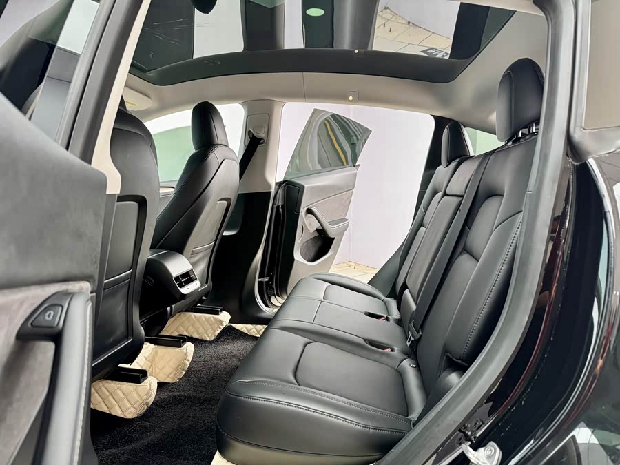 Tesla Model Y 2021 car image #10