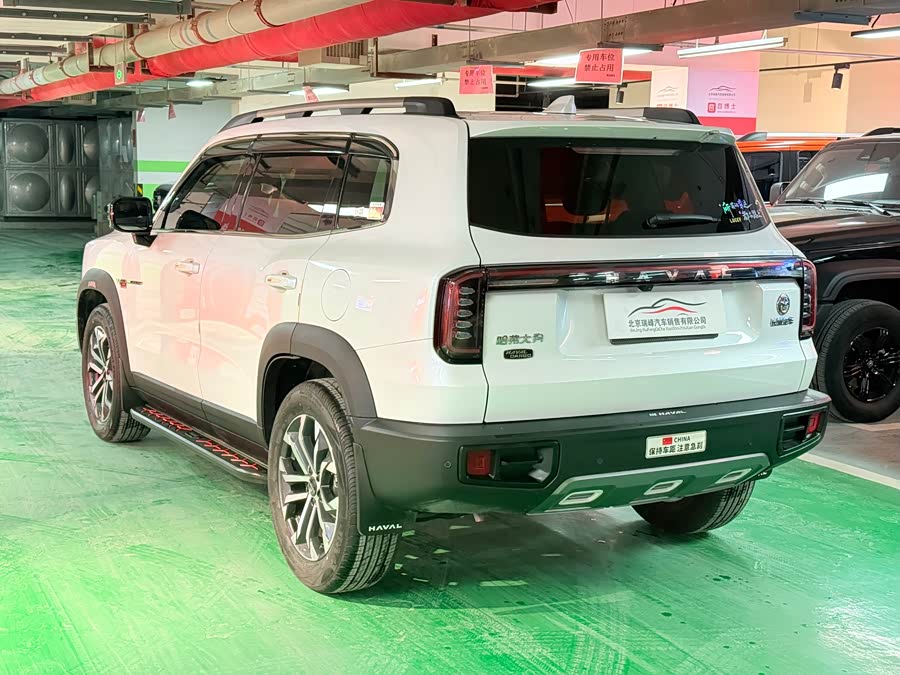 Haval X Dog / Dargo 2024 immagine di auto #10