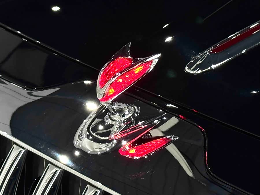 HongQi GuoYa 2024 #10 HongQi GuoYa 2024 car image #10