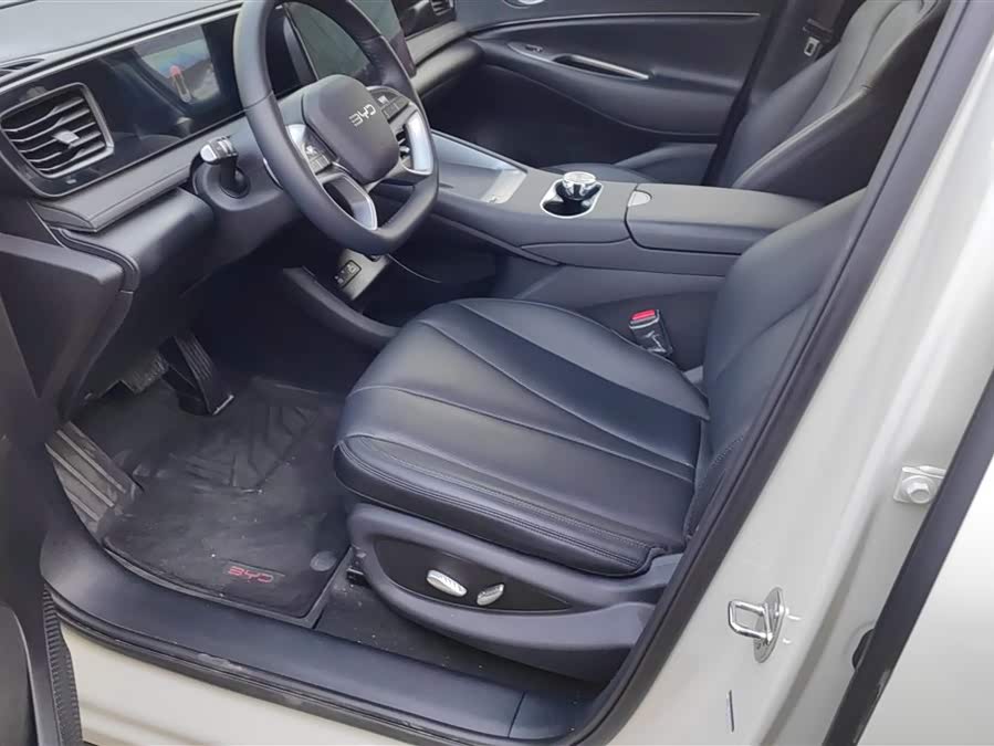 BYD Sea Lion 06 New Energy 2025 car image #10