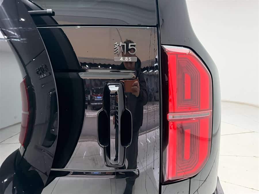 FangChengBao Leopard 5 2025 car image #10