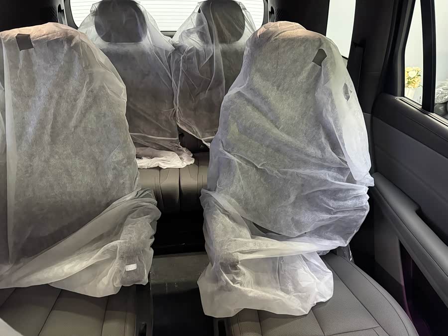 Denza N8L 2025 car image #10