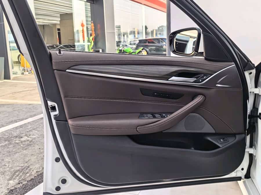 BMW 5 Series 2021 car image #10