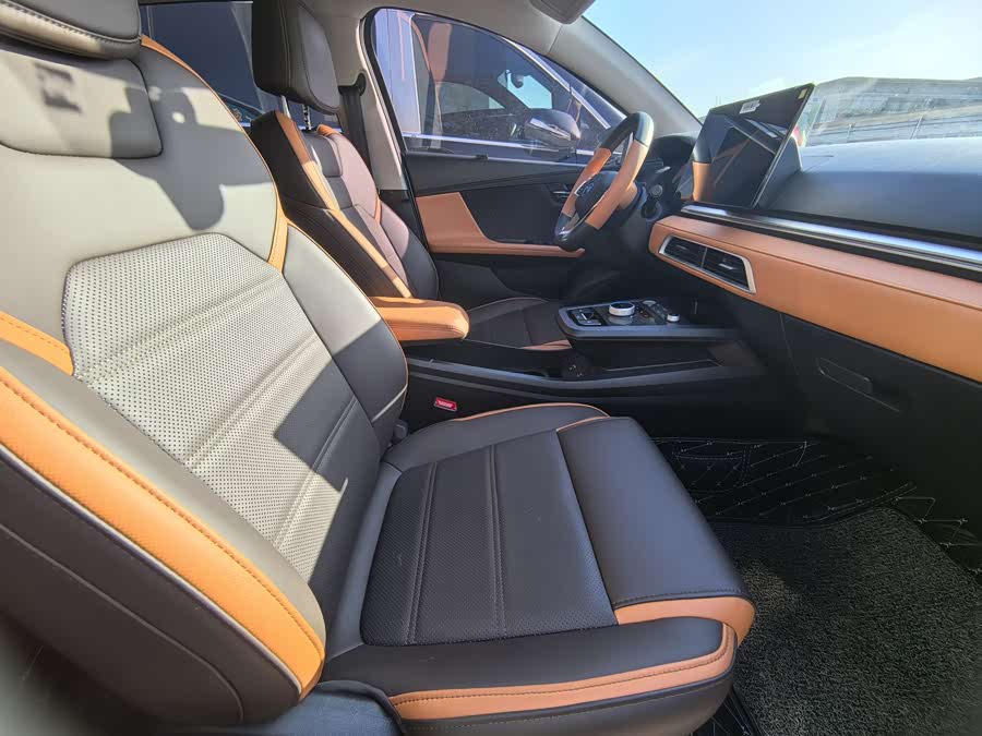 BYD e2 2020 изображение автомобиля #10