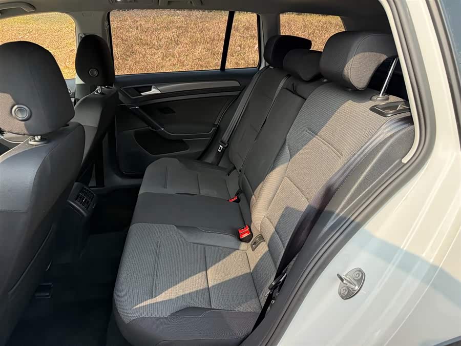 Volkswagen Golf (Imported) 2019 car image #10