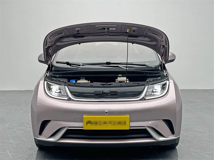 BYD Dolphin 2023 immagine di auto #10