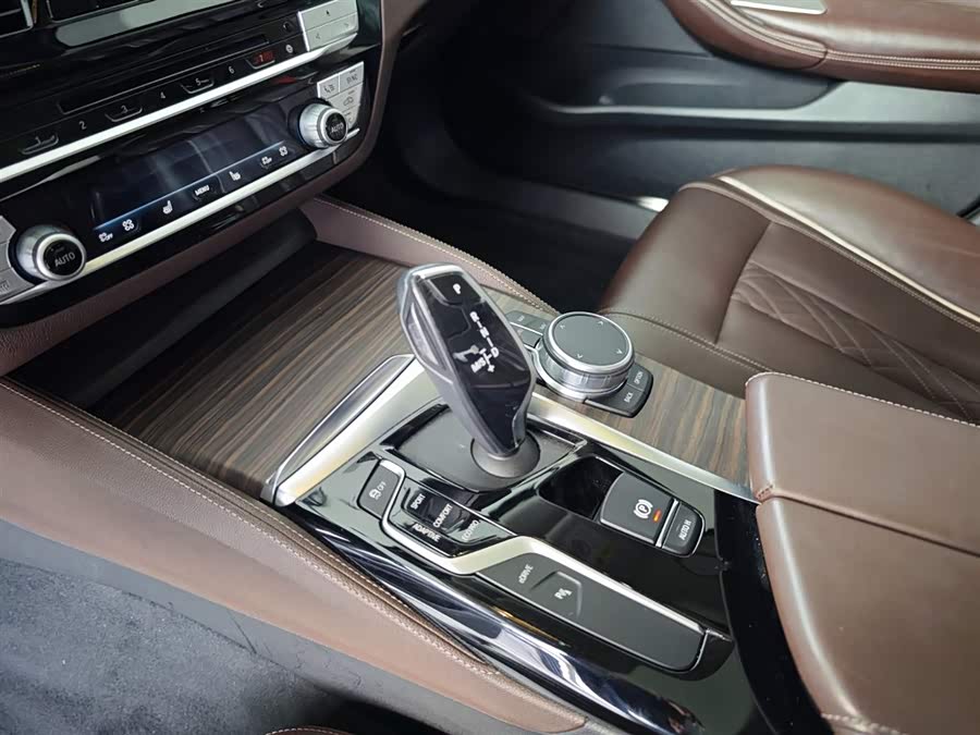 BMW 5 Series New Energy 2019 car image #10