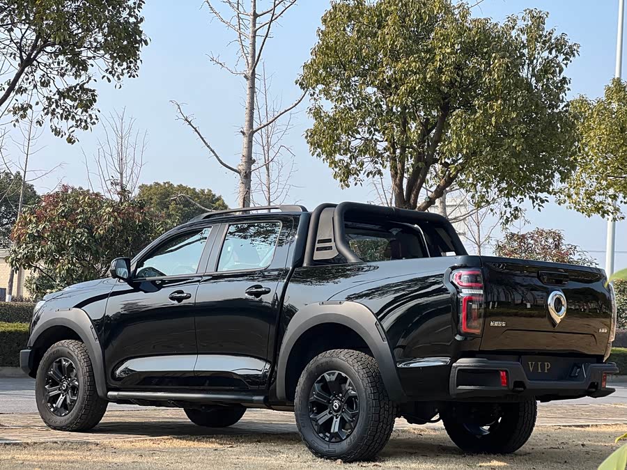 Great Wall Poer 2023 car image #10
