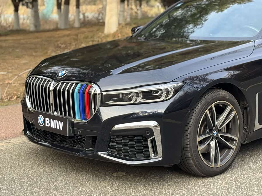 BMW 7 Series 2019 car image #10