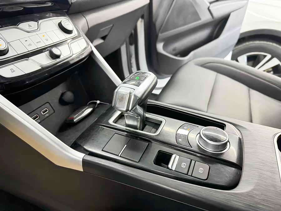 Great Wall Poer 2022 car image #10