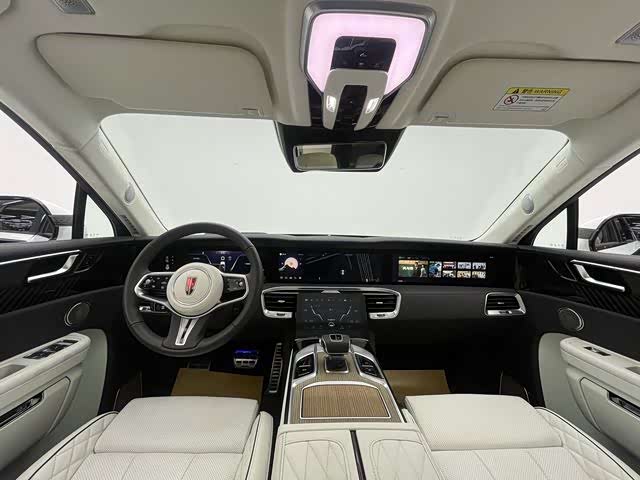 HongQi E-HS9 2023 car image #10