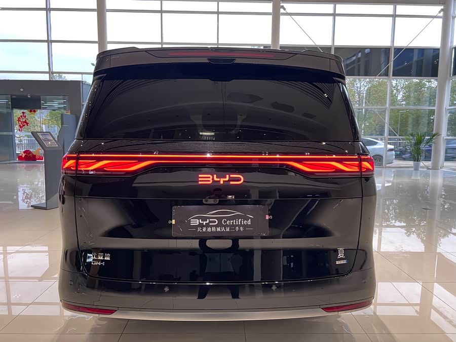 BYD Xia 2024 imagen de coche #10