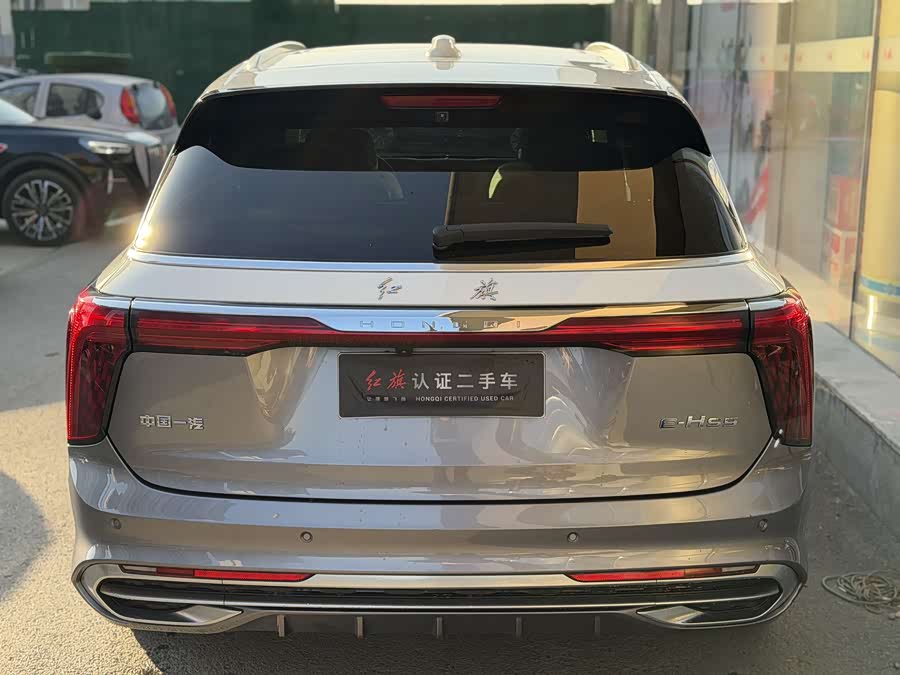 HongQi E-HS9 2022 imagen de coche #10